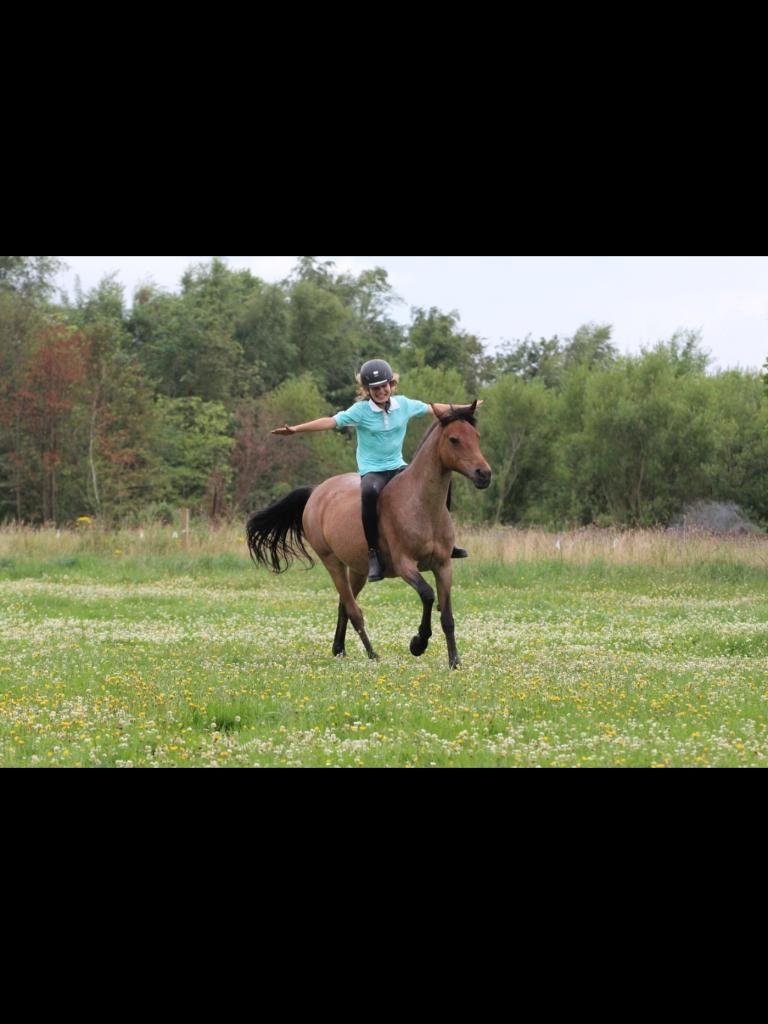 Anden særlig race Miss Charisma  billede 12