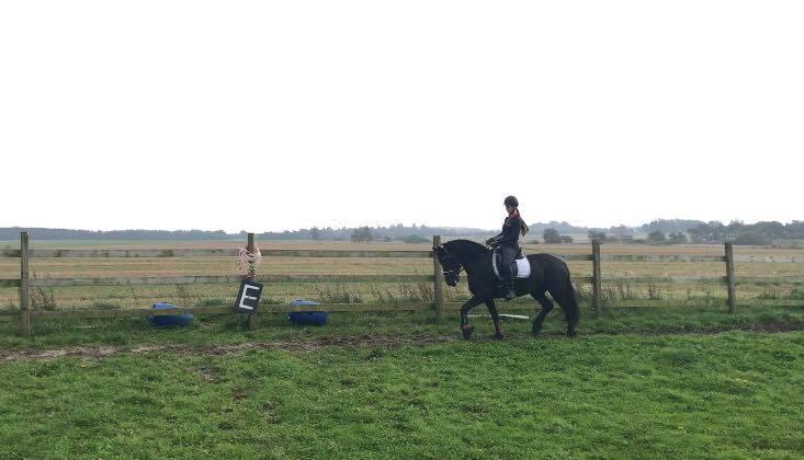 Frieser Griet Mieke billede 11