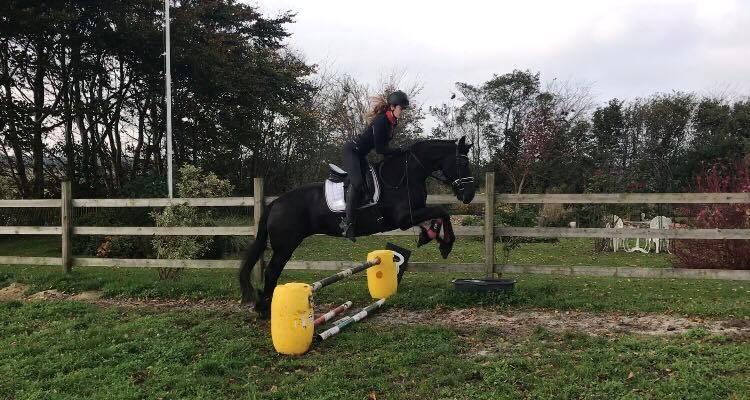 Frieser Griet Mieke billede 14