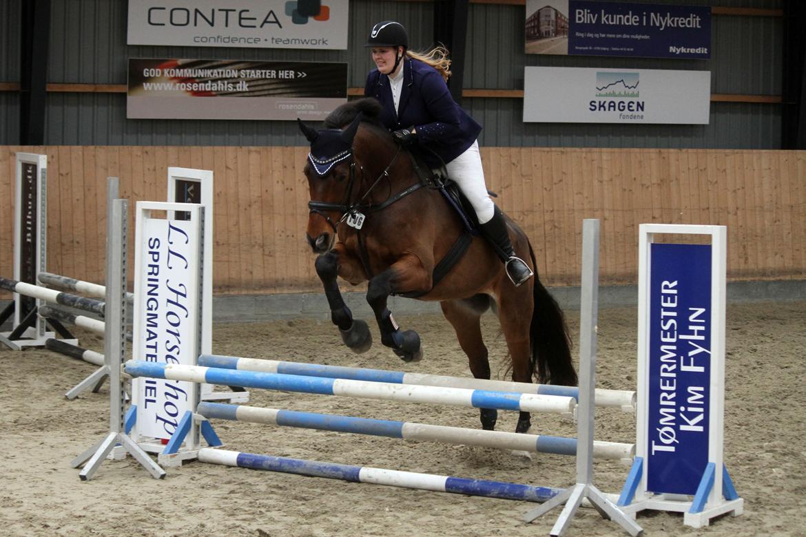 Anden særlig race Dalvangs Casper - NYT: Stævne i EOR billede 11