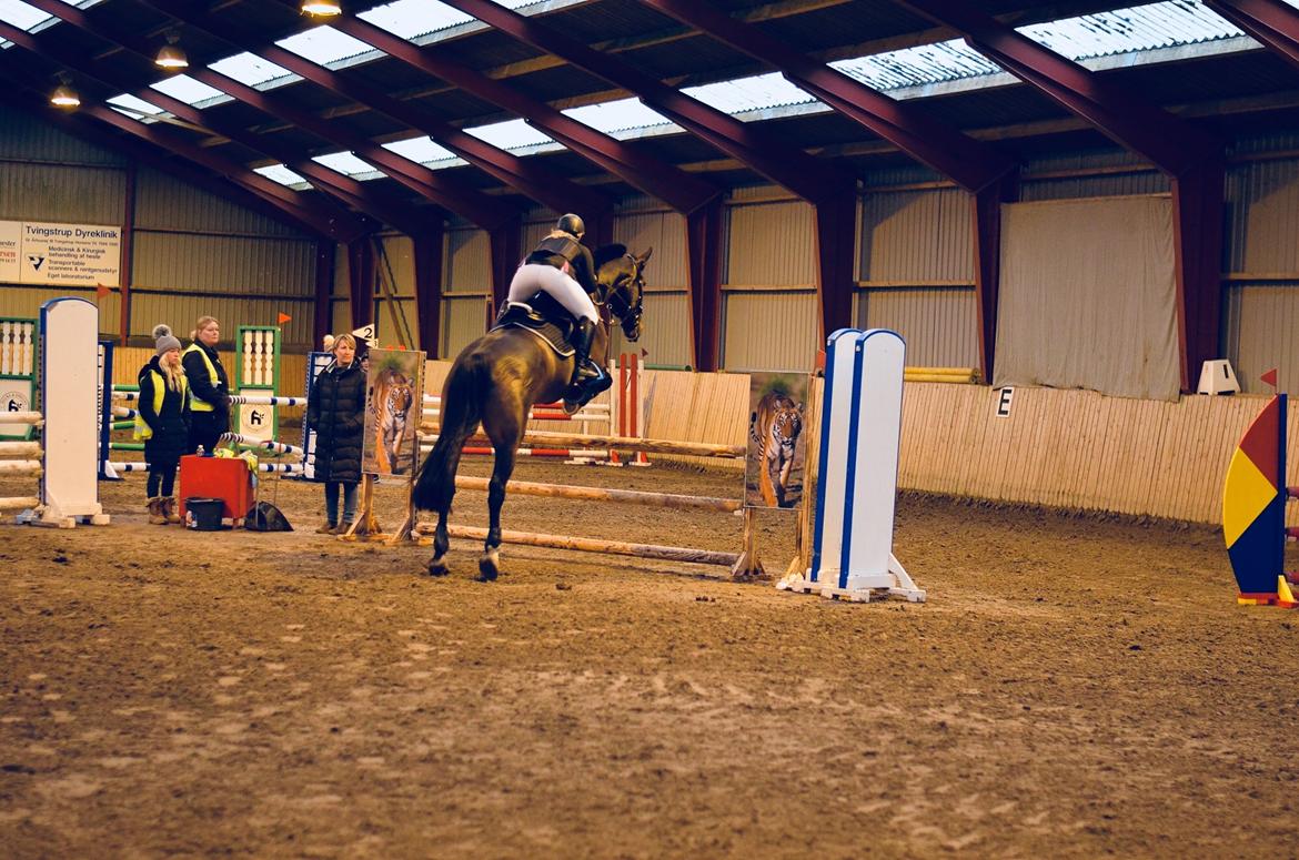 Oldenborg Cornett  billede 28