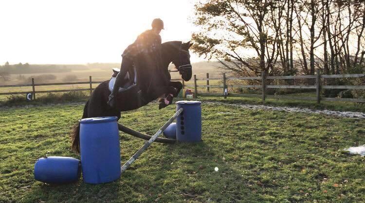 Frieser Griet Mieke billede 13