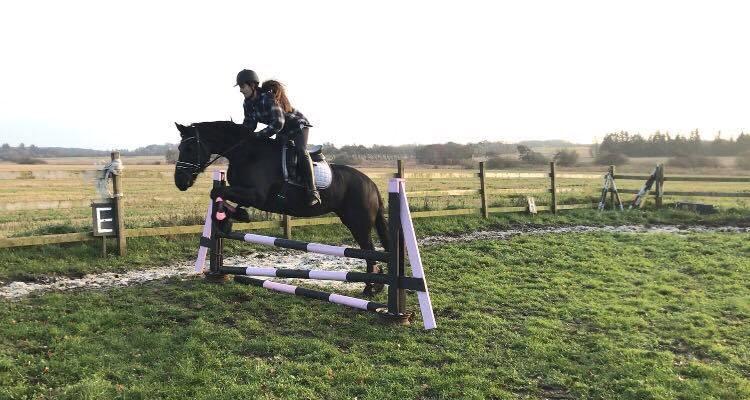 Frieser Griet Mieke billede 9