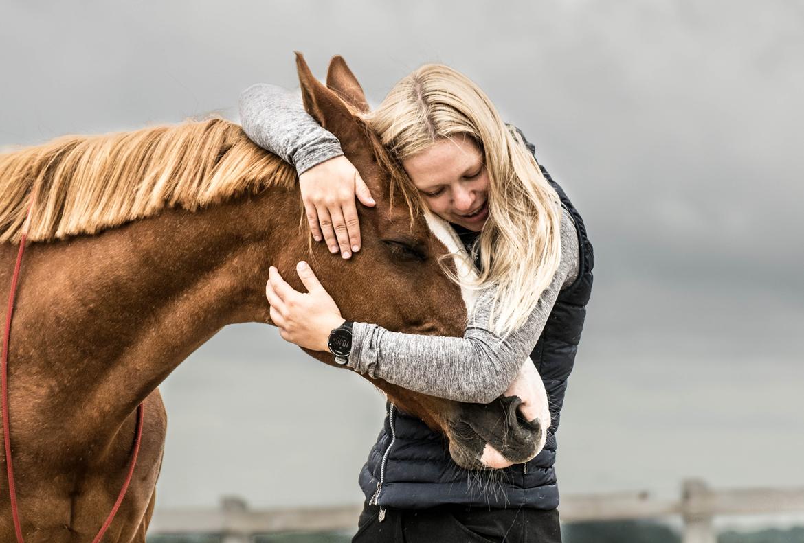 Palomino Argo Jøle - Der findes ingen bedre ven, som Argo billede 1