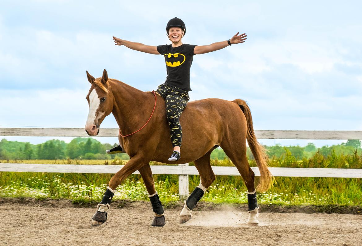 Palomino Argo Jøle - Na na na na na na na billede 8