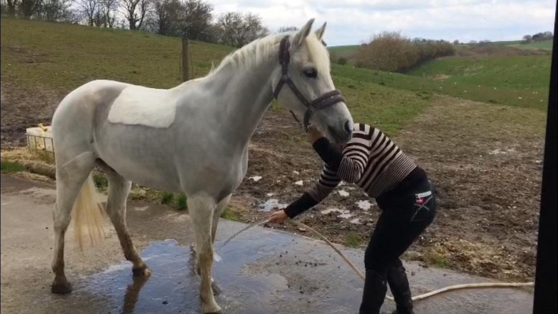 Connemara Loke billede 7