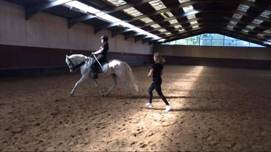 Connemara Loke billede 9