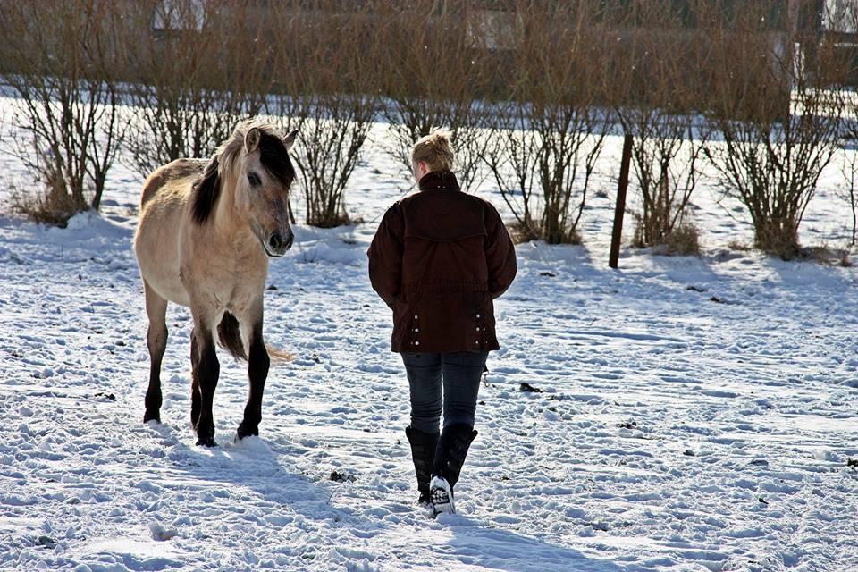 Anden særlig race Sukinox Her kommer jeg *Kalle* billede 43