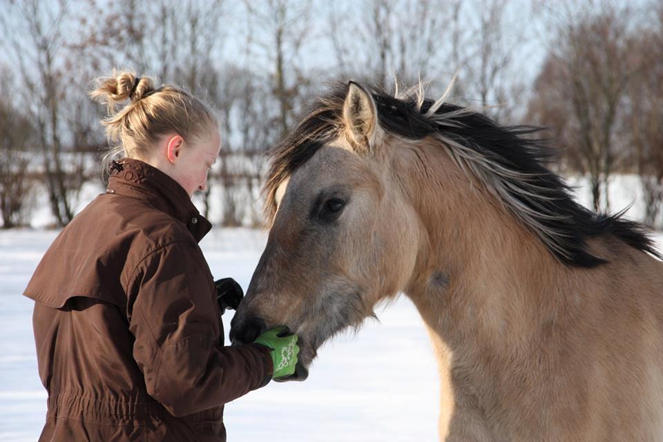 Anden særlig race Sukinox Her kommer jeg *Kalle* billede 45