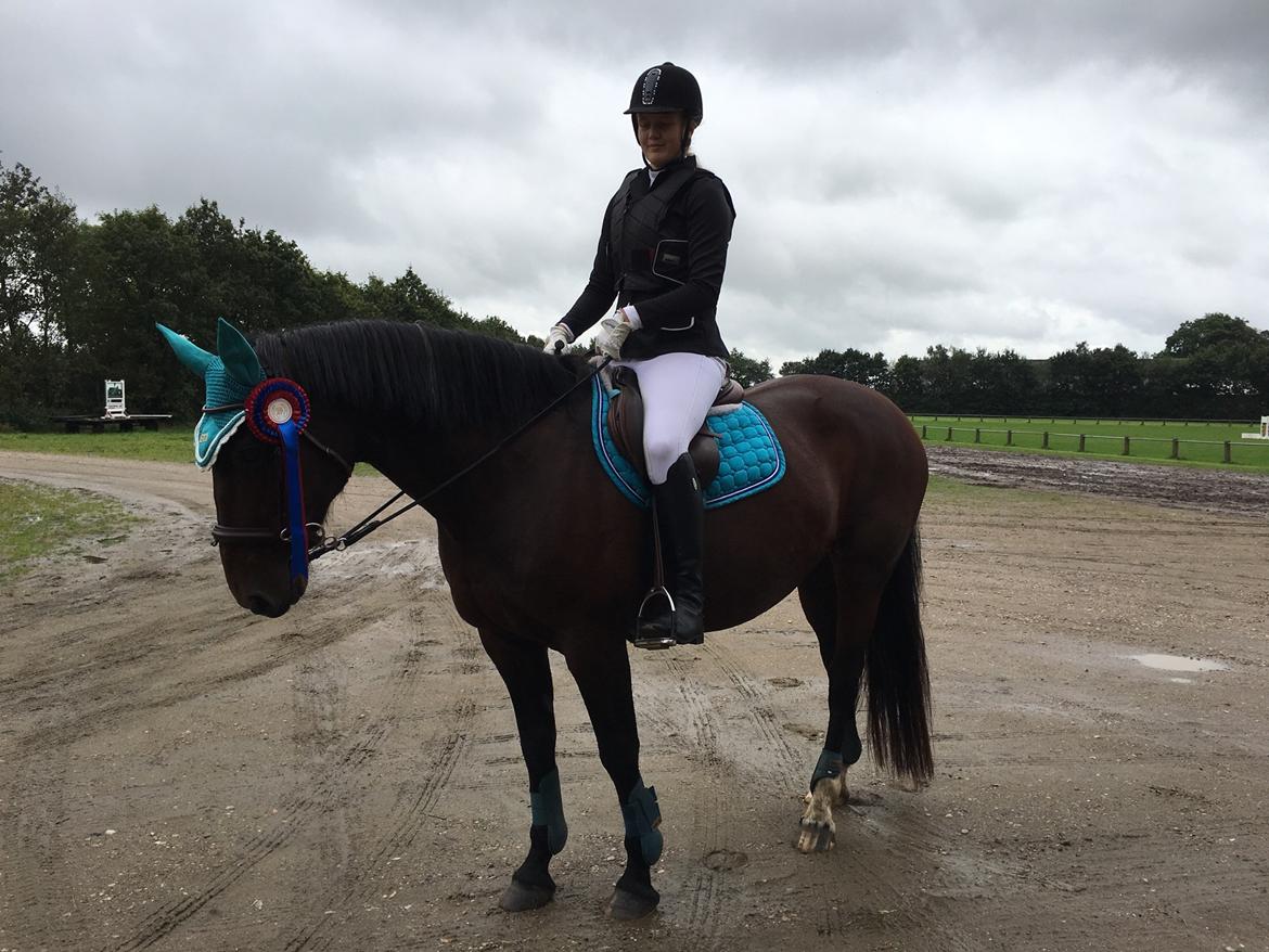 Oldenborg Ulrikke af hvarre - SHR 4/9/16 billede 7