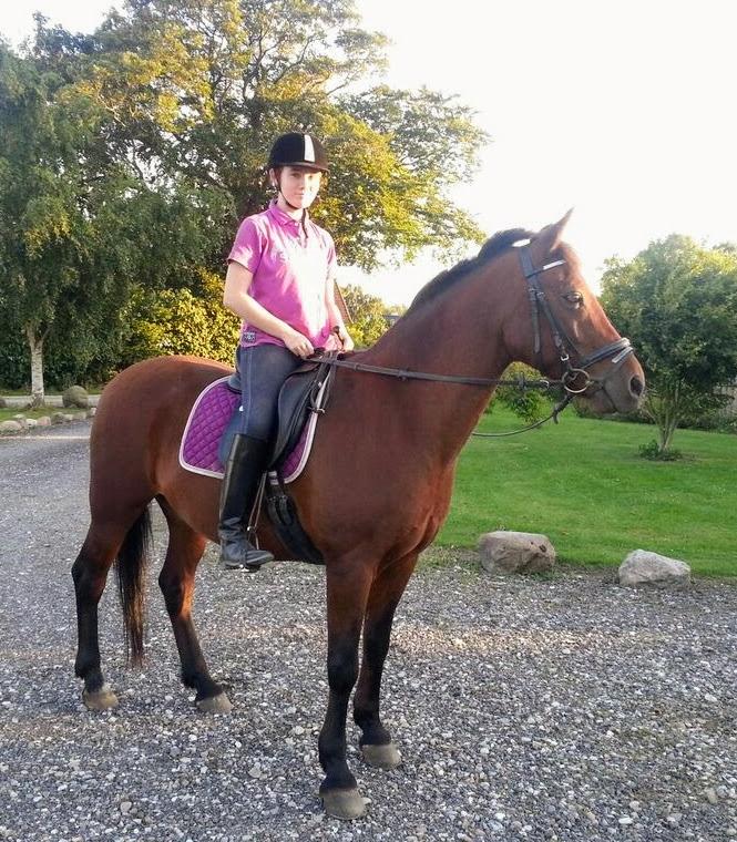 New Forest Baltazar - Foto:Brian Jensen ( 2015) billede 11