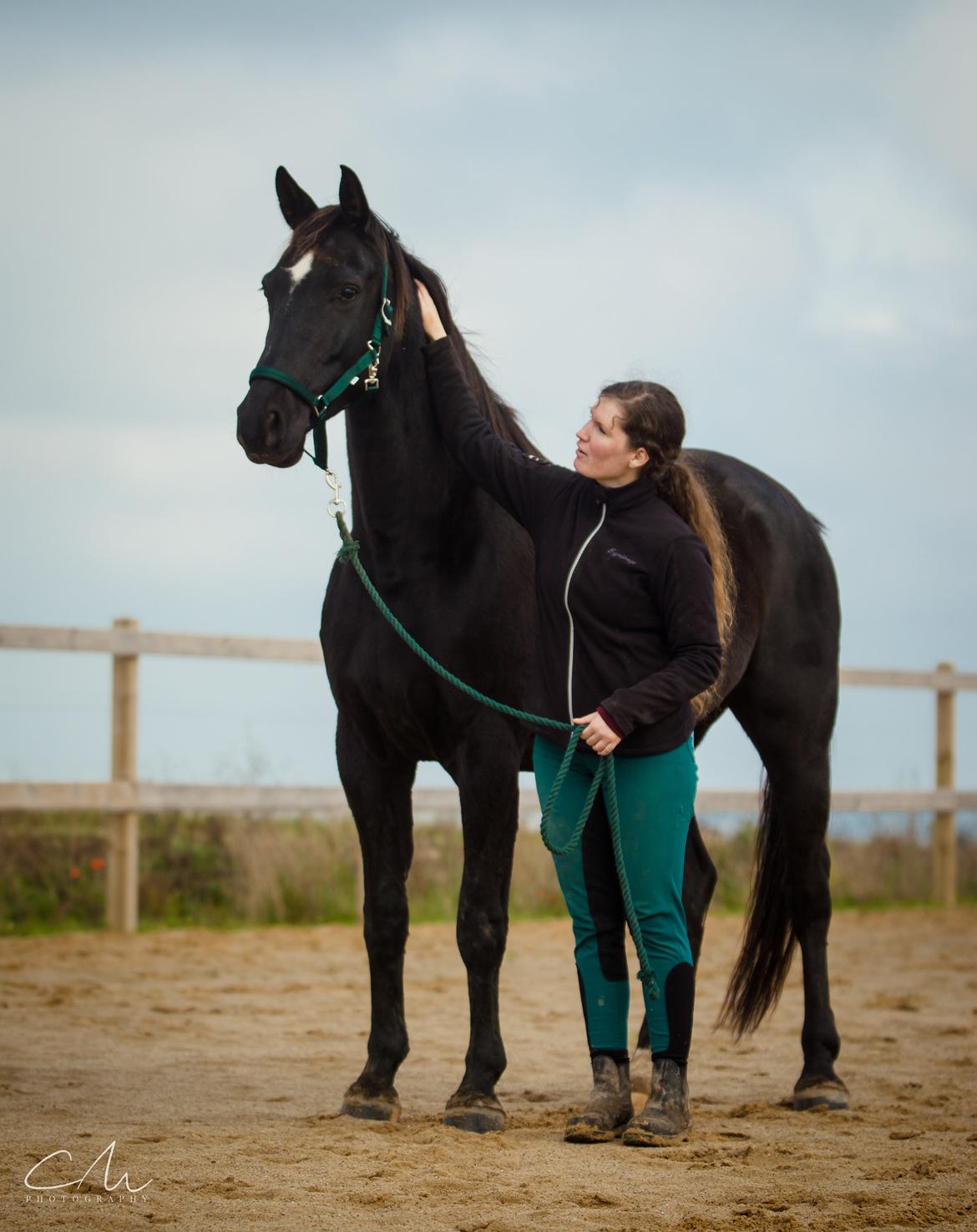 Dansk Varmblod ZACKO - Den smukkeste <3 billede 9