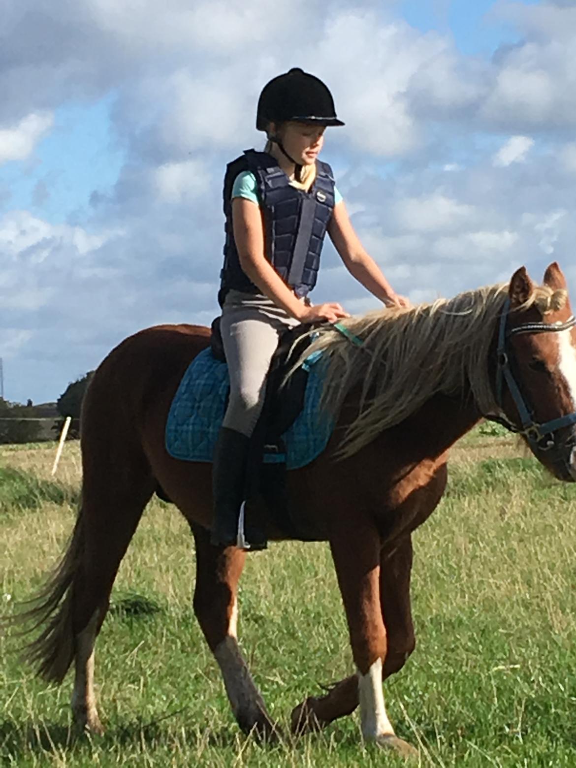 DSP Dragon  billede 7