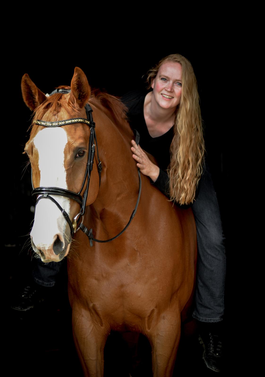 Trakehner Heywood af Lykkebo billede 8