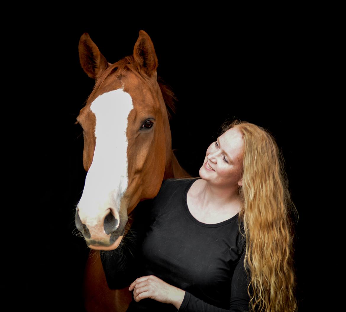 Trakehner Heywood af Lykkebo billede 3