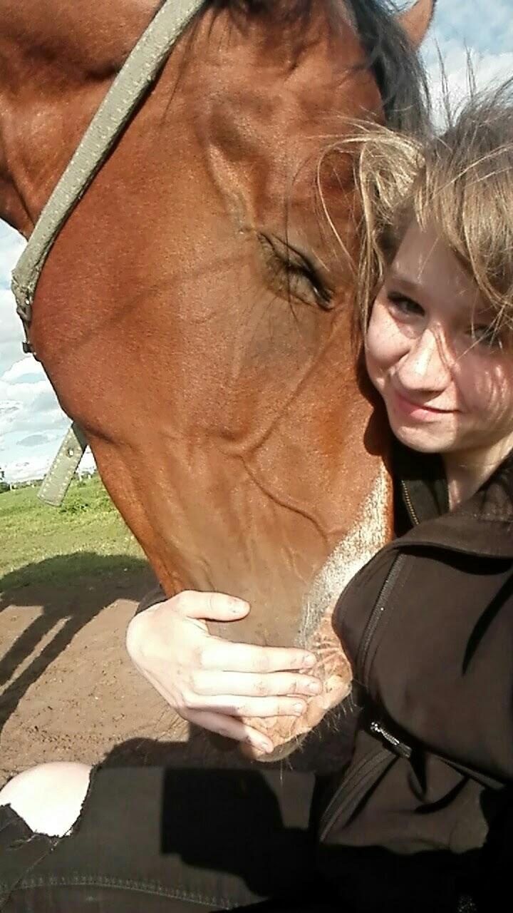 Knabstrupper Jane Højgård  billede 8