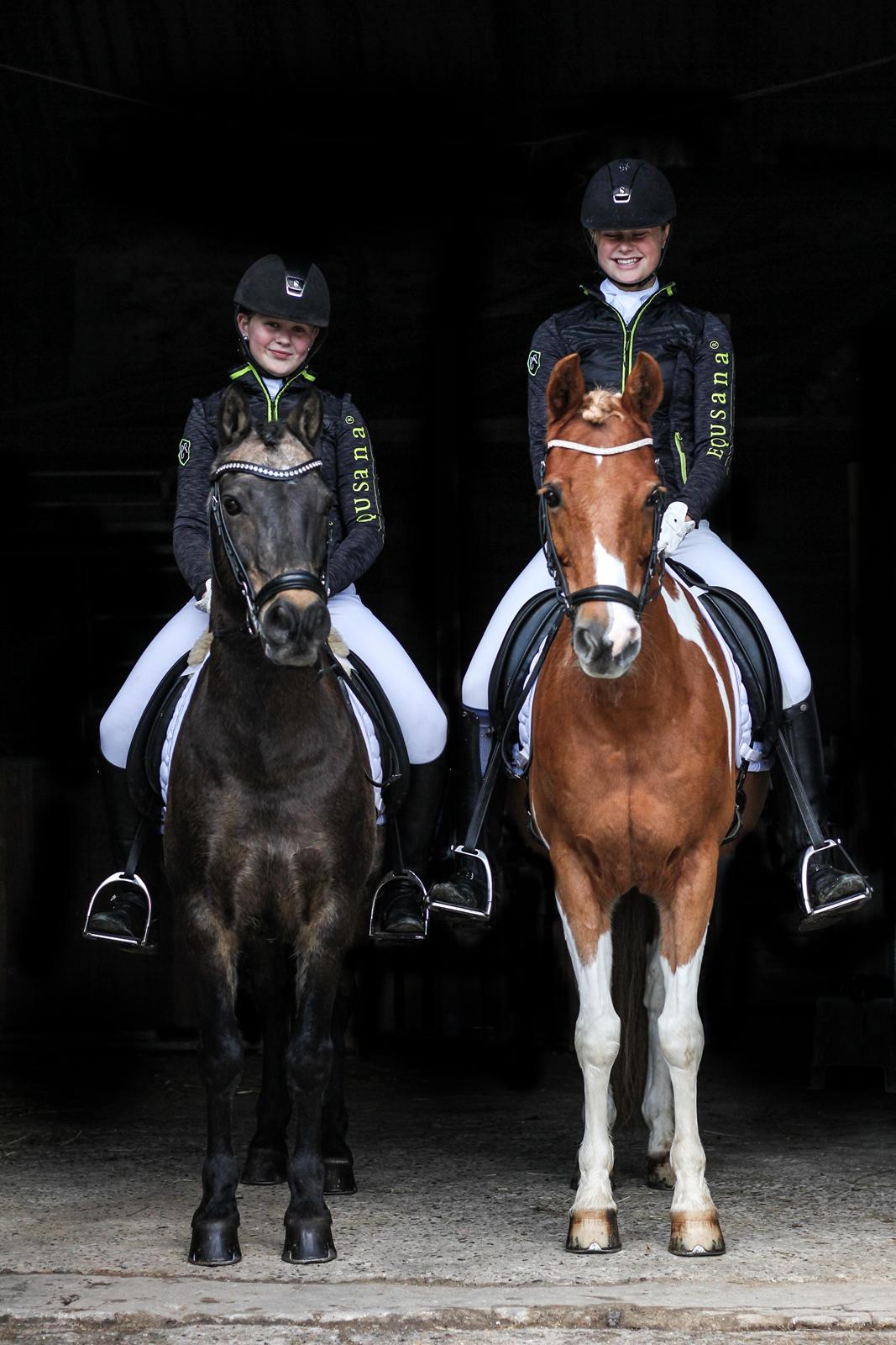 Pinto Araber Felix B-pony og 1/3 A-pony billede 6