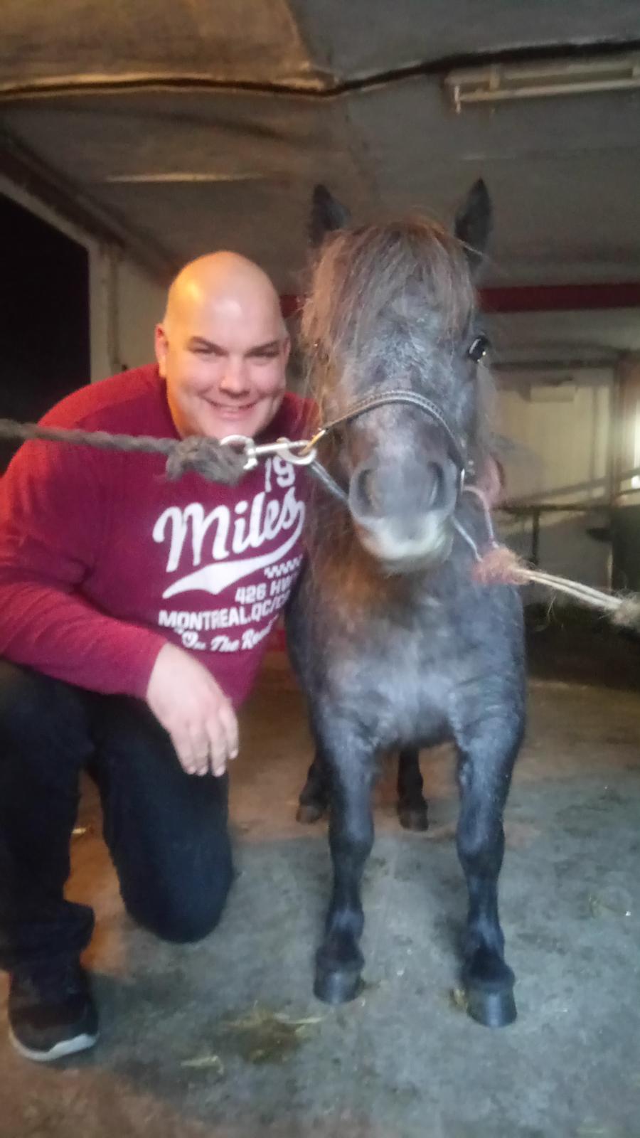 Shetlænder Vive La Liberte billede 13