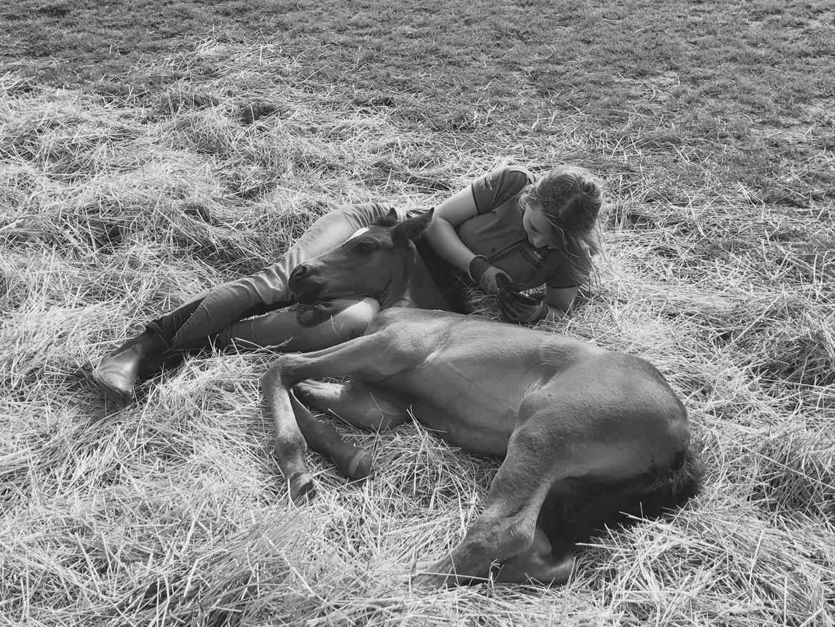 Anden særlig race Cera Bella - Ægte hygge <33 billede 2