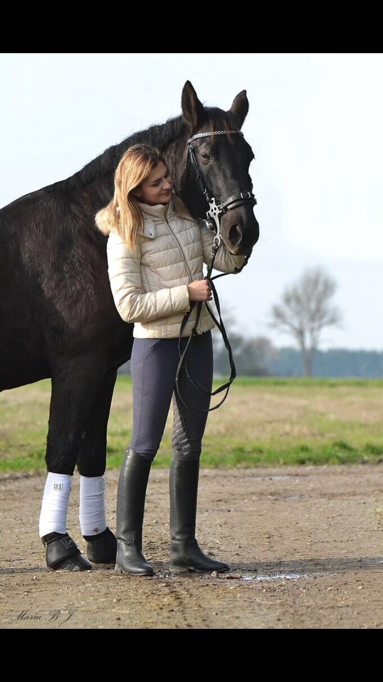 Oldenborg Engtoft's Gordon *RIP* billede 5