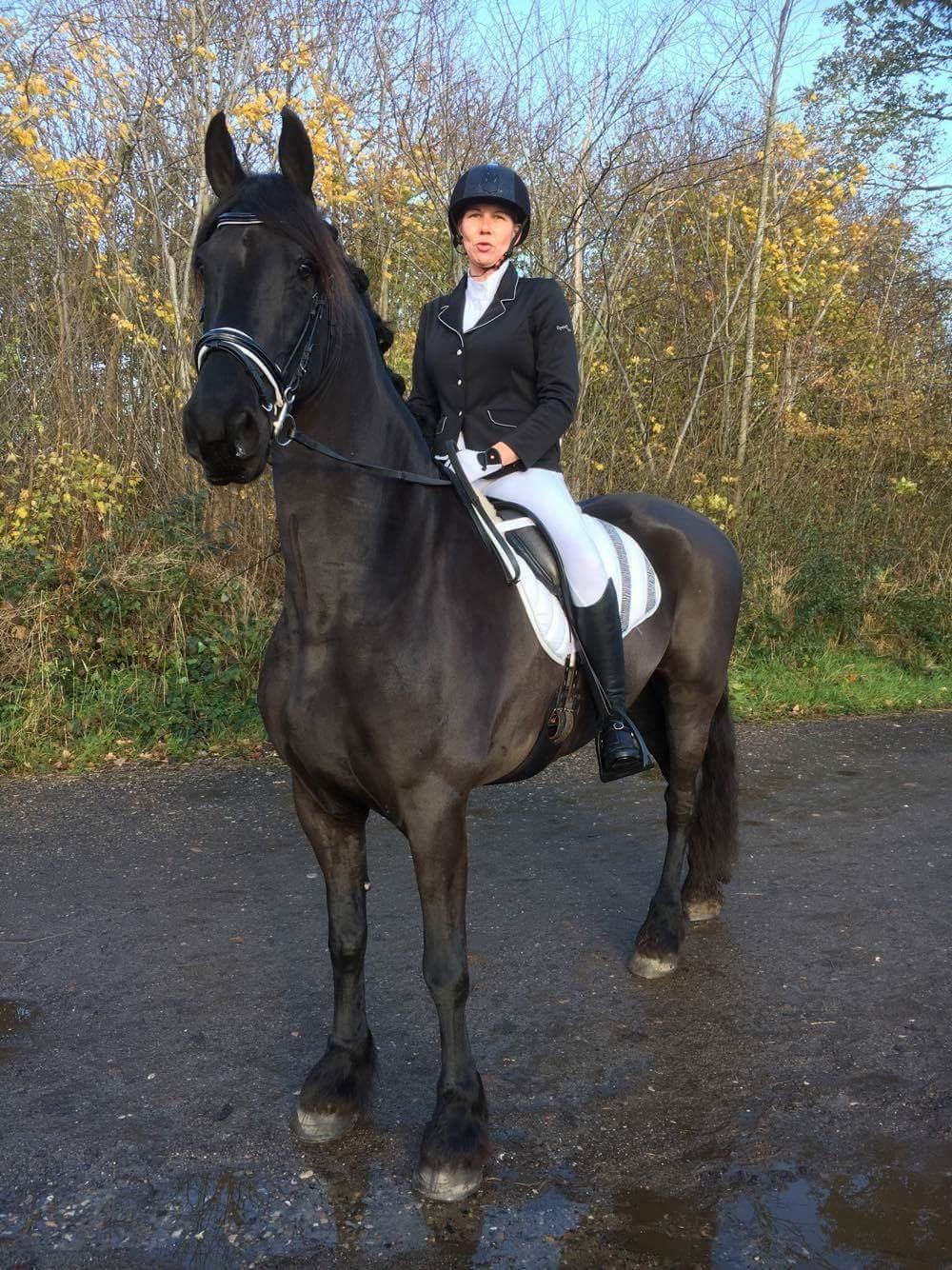 Frieser IDS billede 15