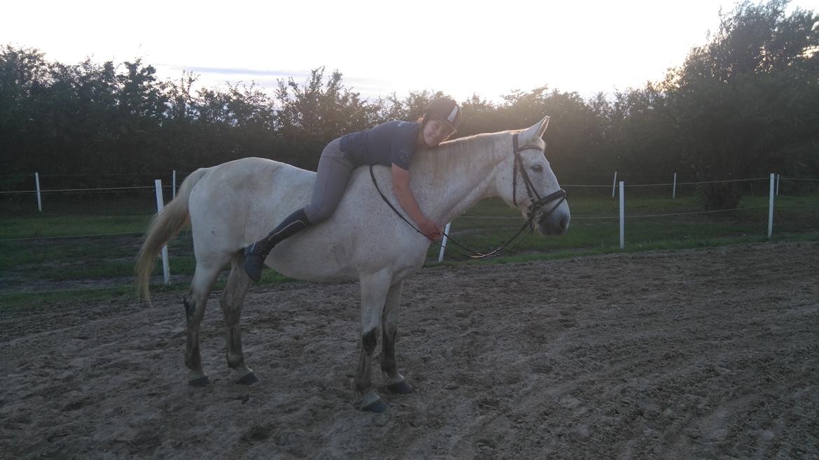 Anden særlig race Clinton  (Præsidenten)  billede 17