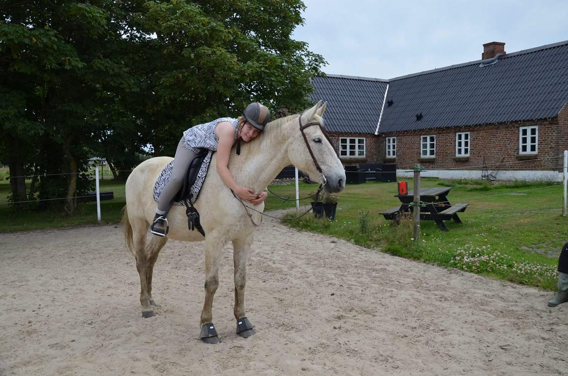 Anden særlig race Clinton  (Præsidenten)  billede 18