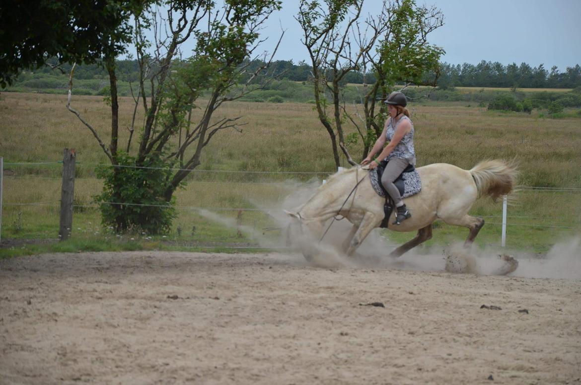 Anden særlig race Clinton  (Præsidenten)  - Det ser voldsomt ud.... Men han snublede bare og der skete intet :b  billede 19