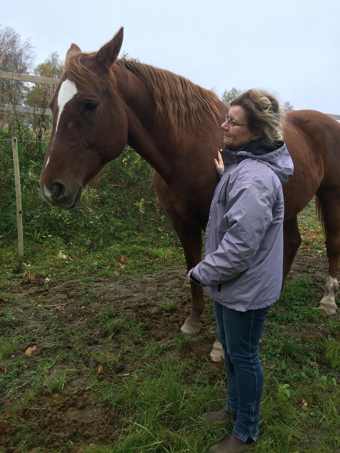 Anden særlig race Cassiopeia billede 9
