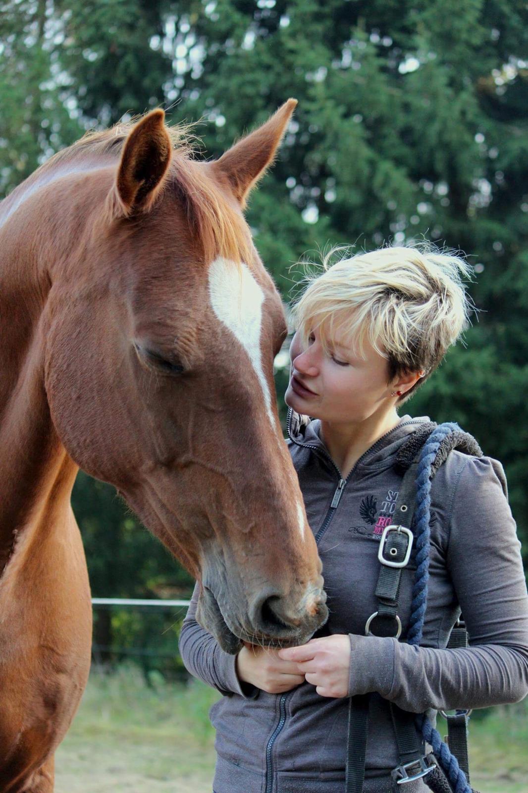 Anden særlig race Cassiopeia billede 4