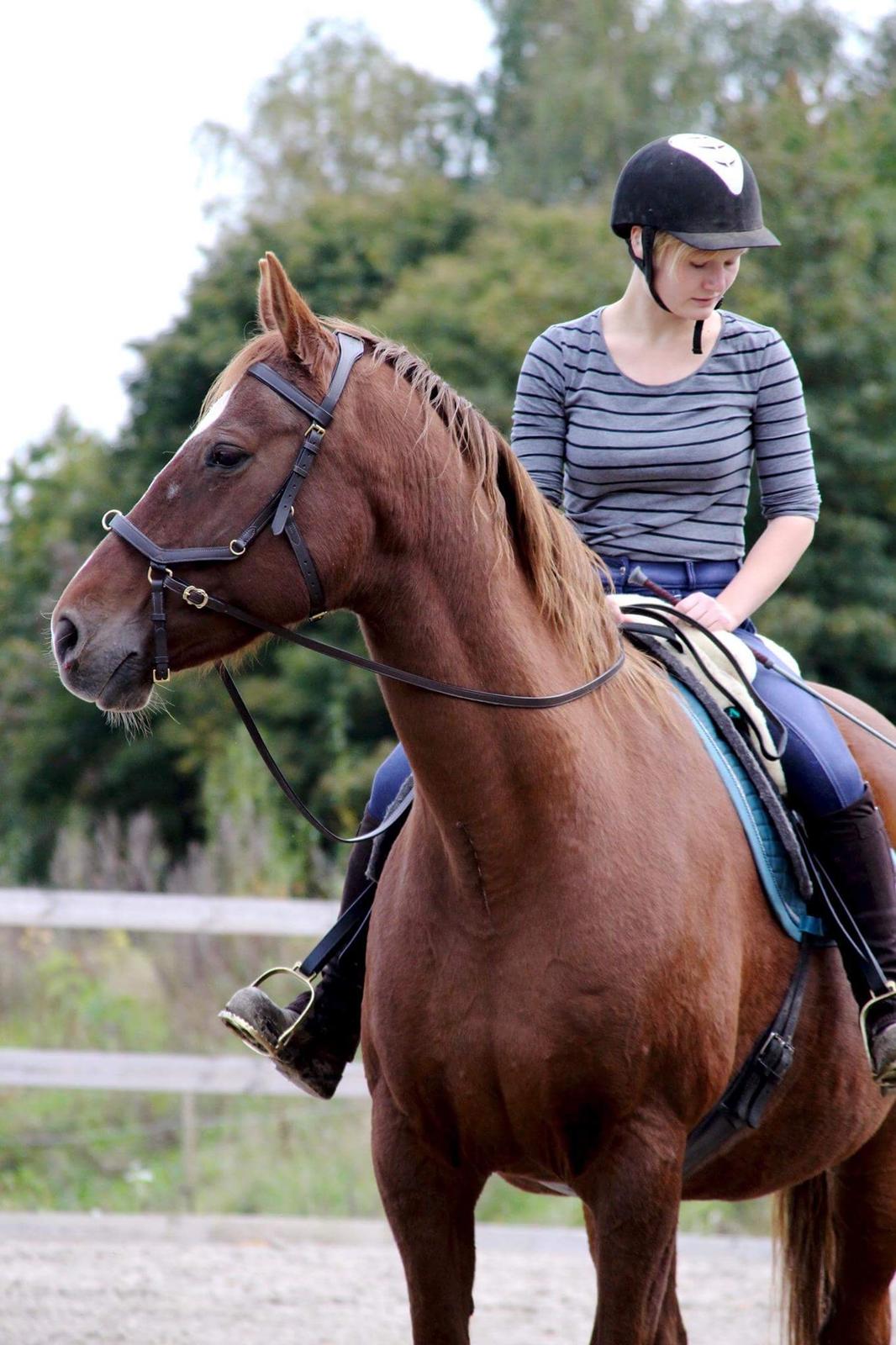 Anden særlig race Cassiopeia billede 11