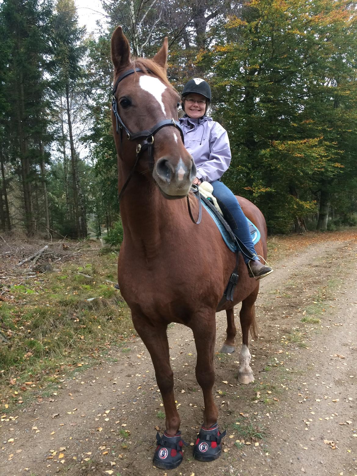 Anden særlig race Cassiopeia billede 16