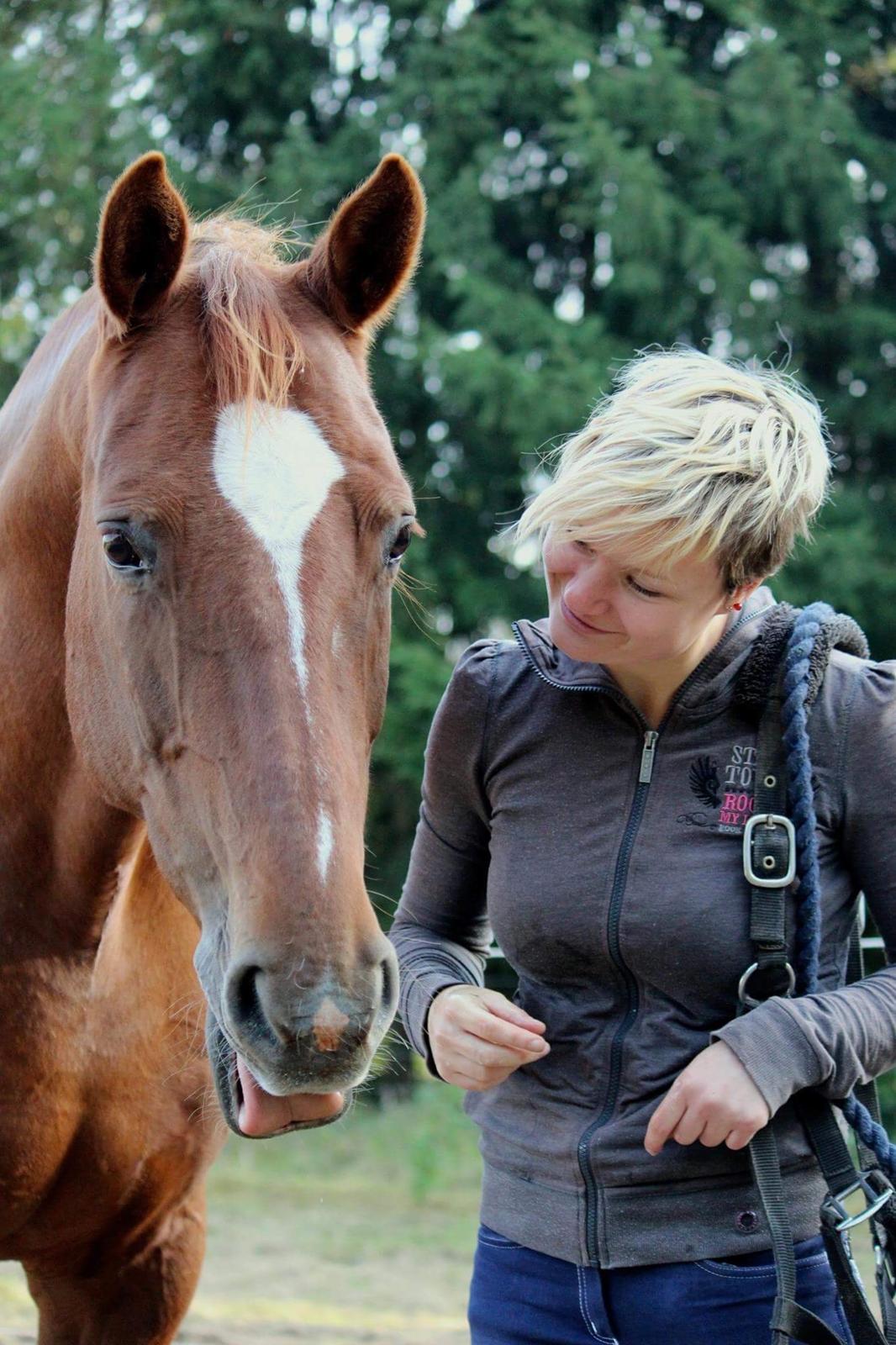 Anden særlig race Cassiopeia billede 6