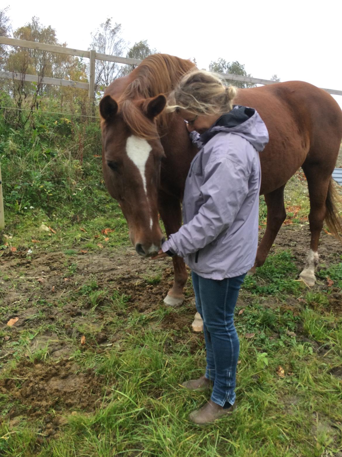 Anden særlig race Cassiopeia billede 17