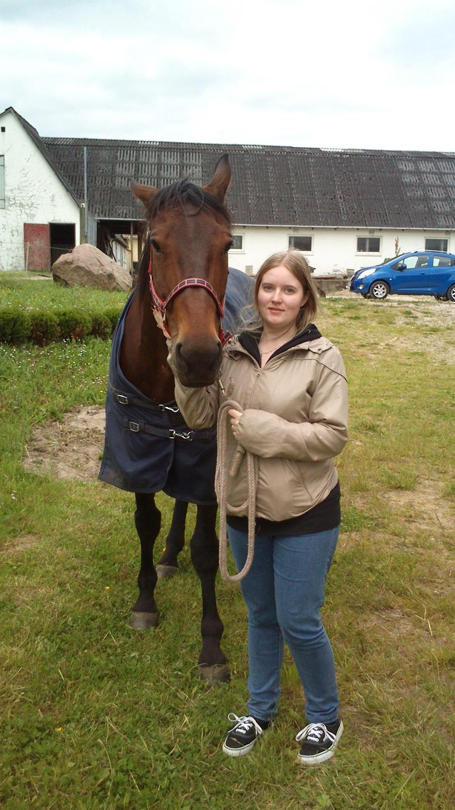 Standardbred Danbury billede 9