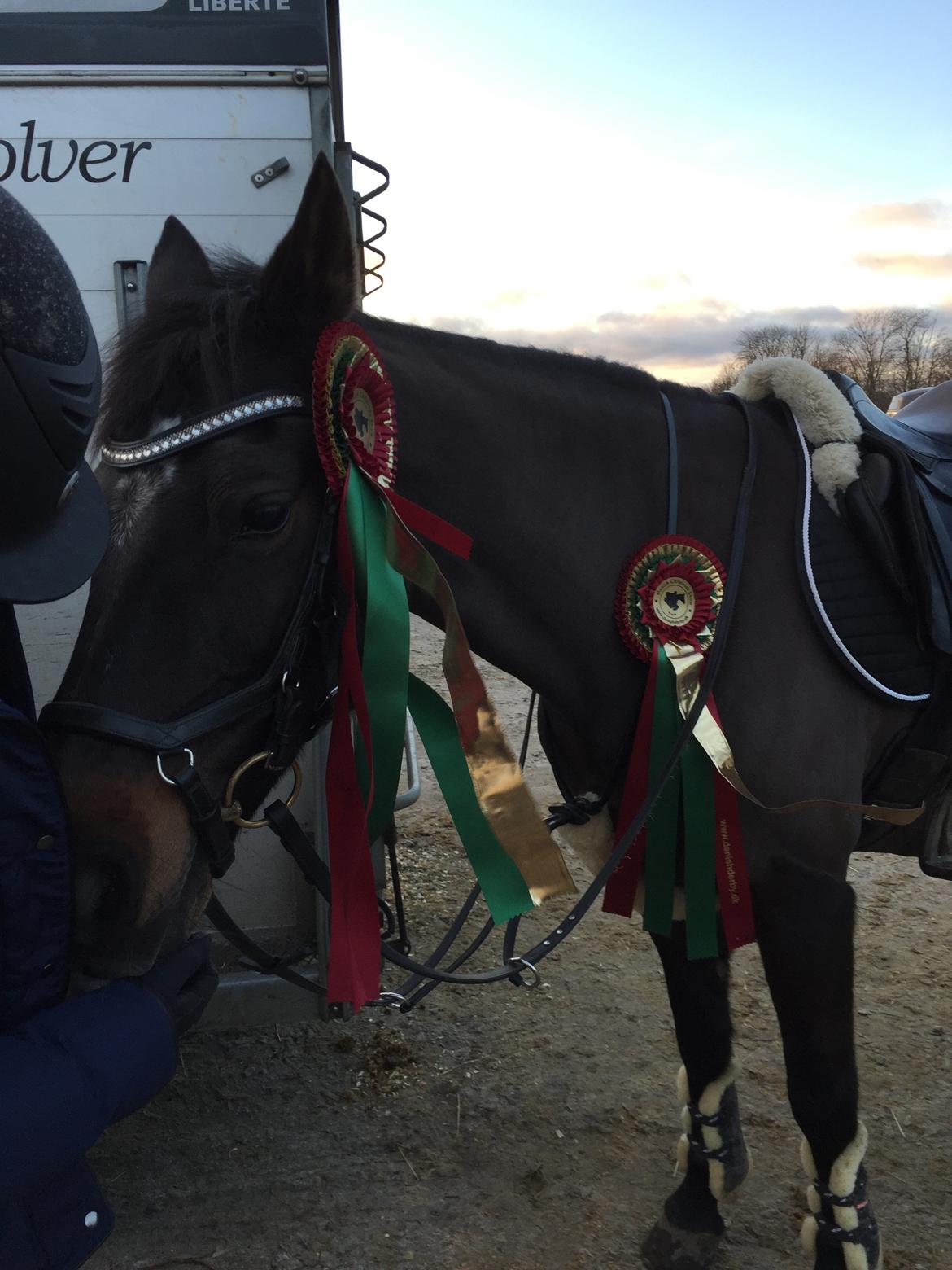 Anden særlig race Dalbæks power girl billede 2