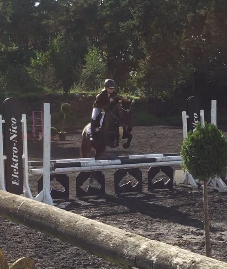 Anden særlig race Dalbæks power girl billede 3