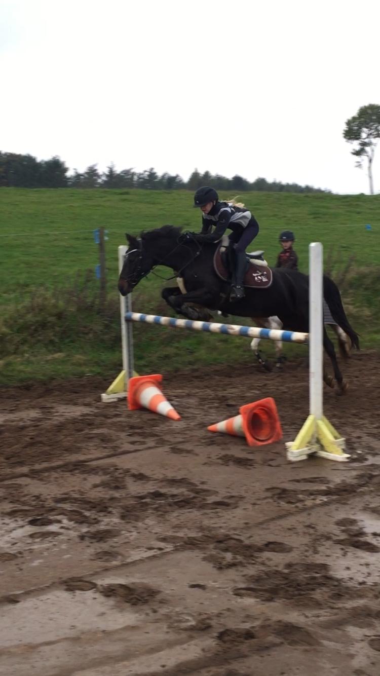 Anden særlig race Dalbæks power girl billede 4