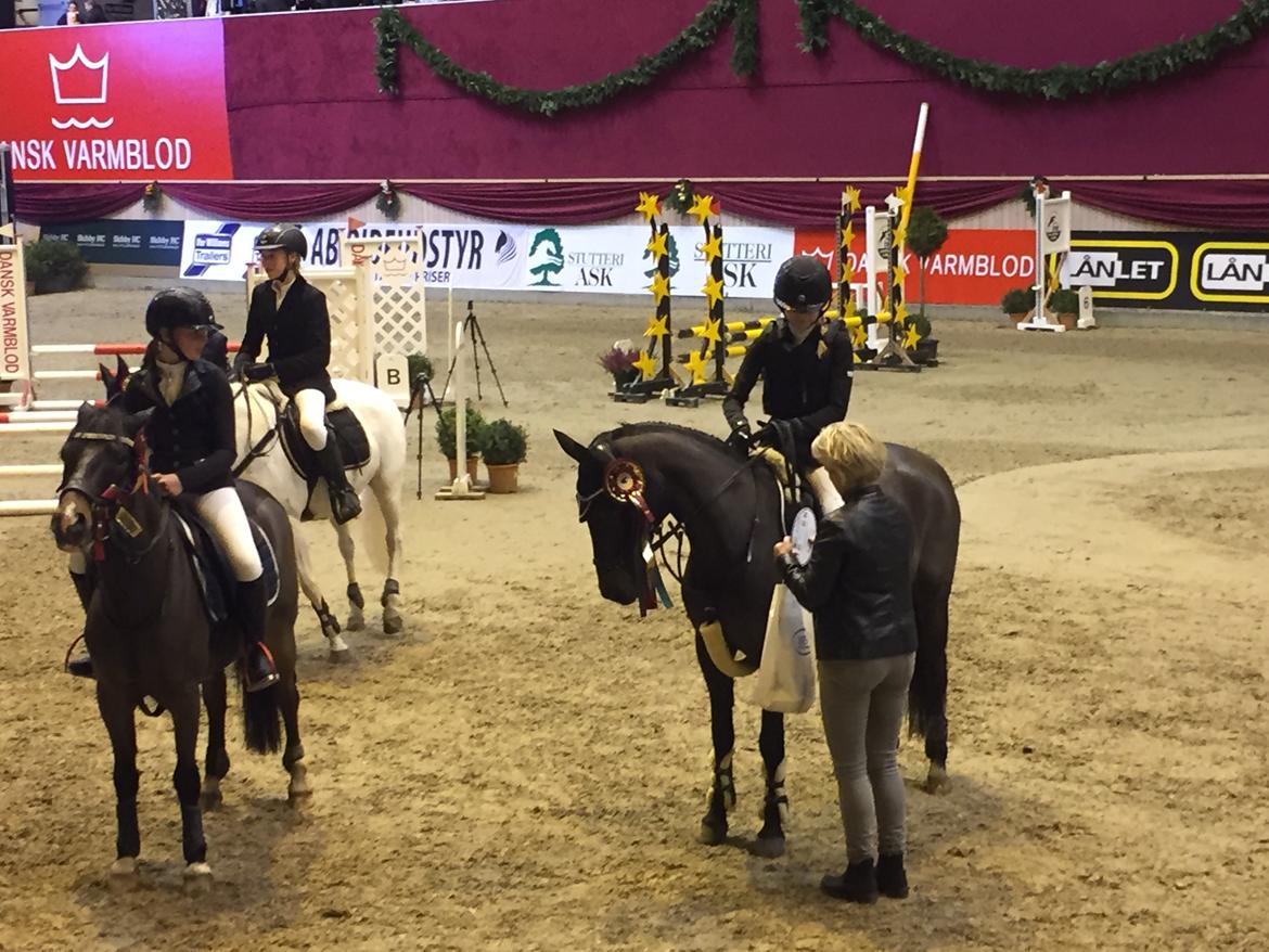 Anden særlig race Dalbæks power girl billede 6