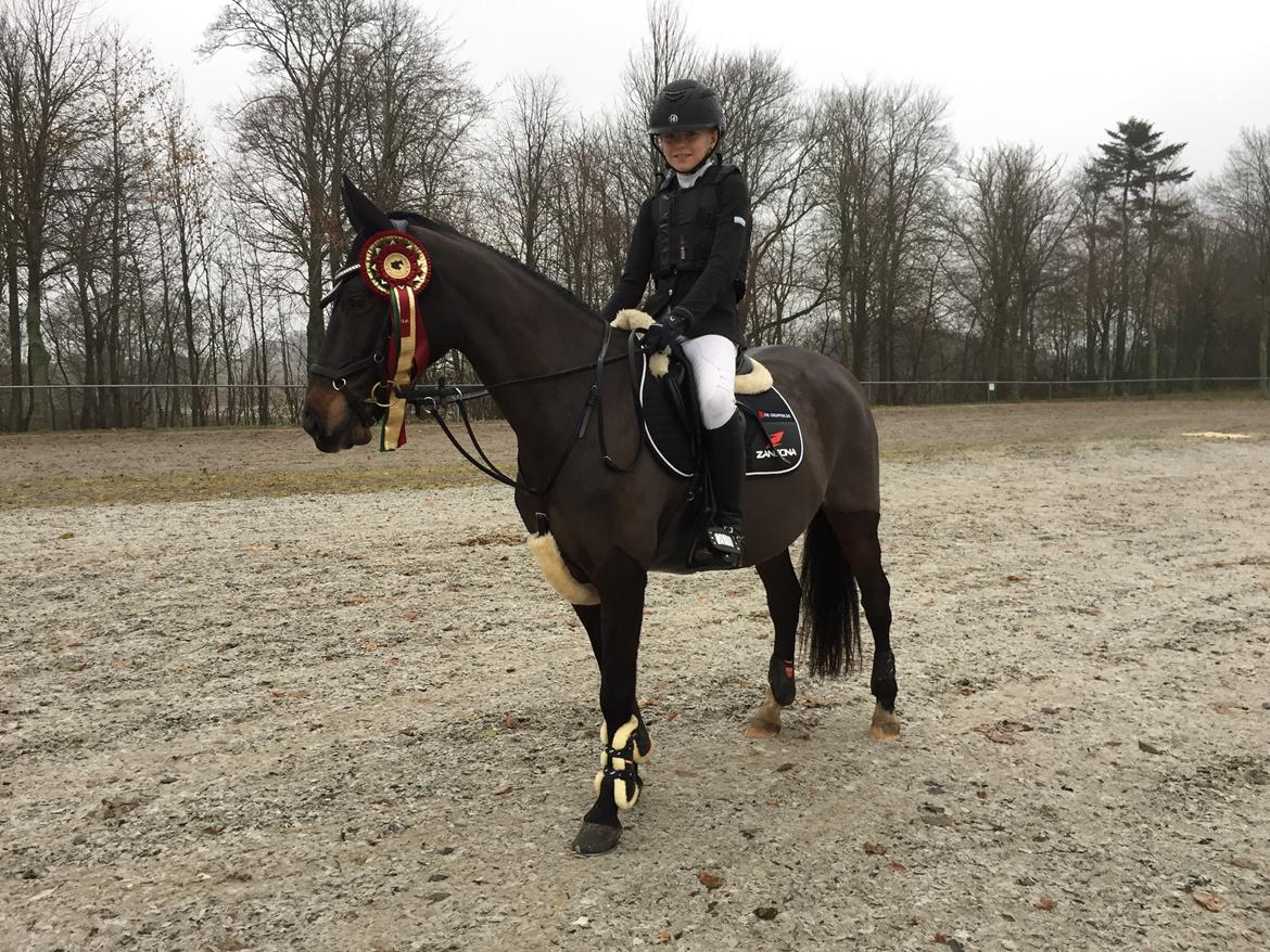 Anden særlig race Dalbæks power girl billede 7