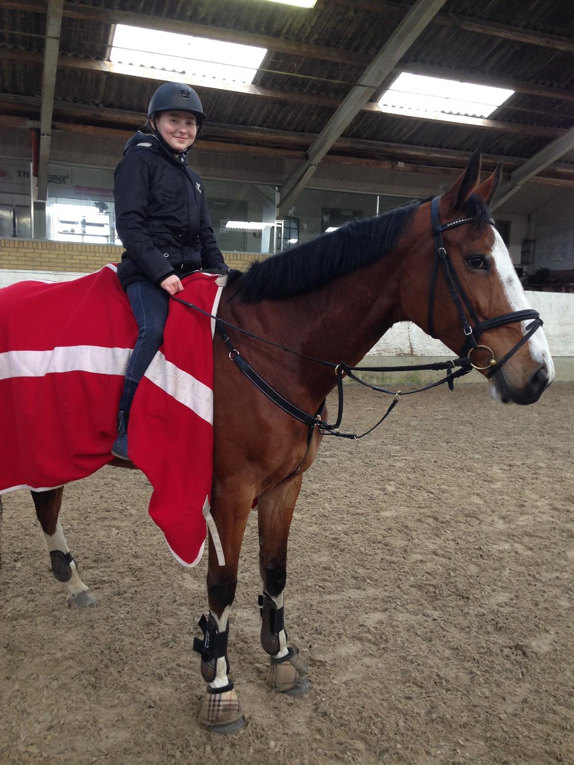 Dansk Varmblod Chamobell-pkj billede 5