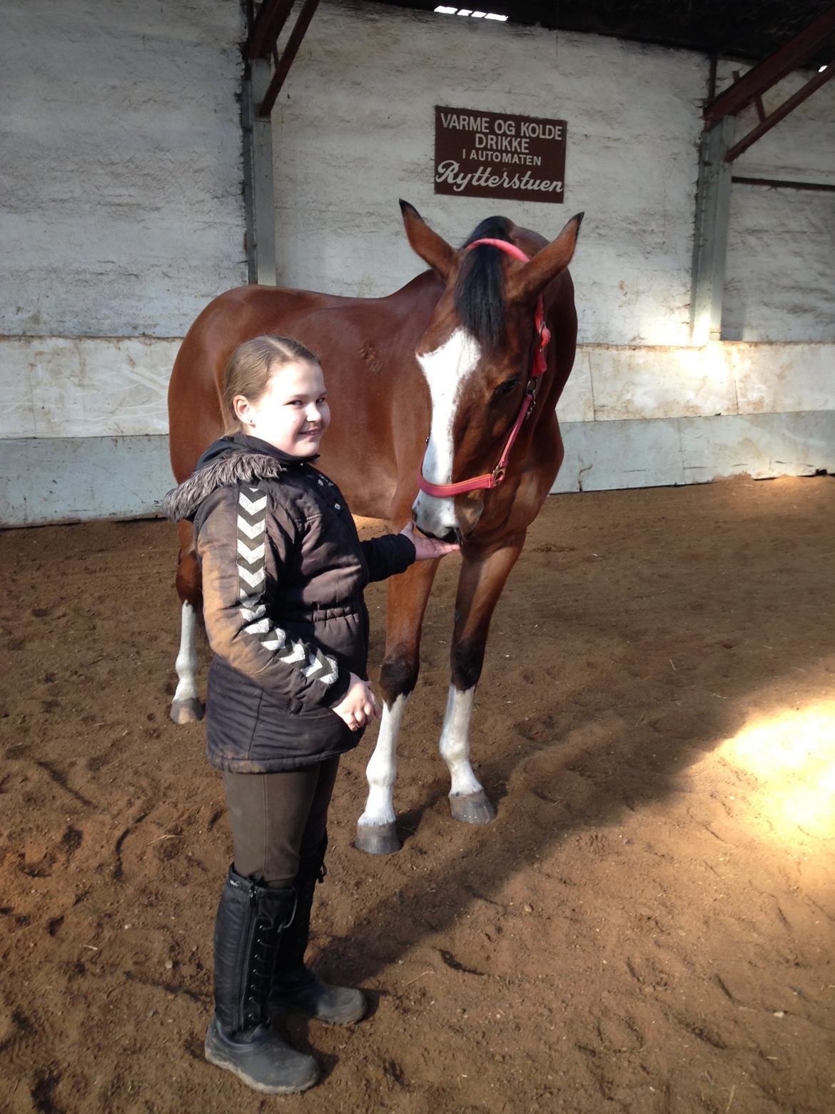 Dansk Varmblod Chamobell-pkj billede 6