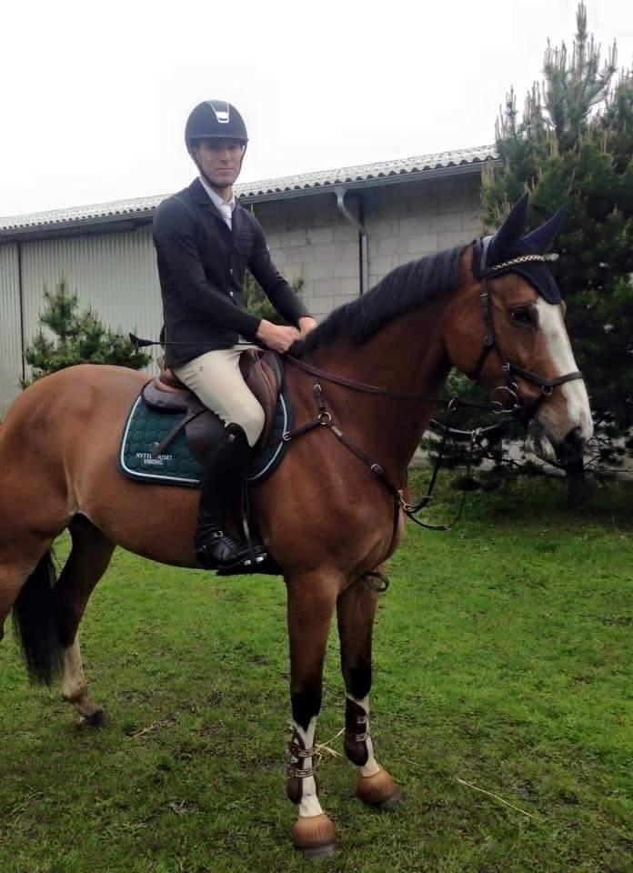 Dansk Varmblod Chamobell-pkj billede 15