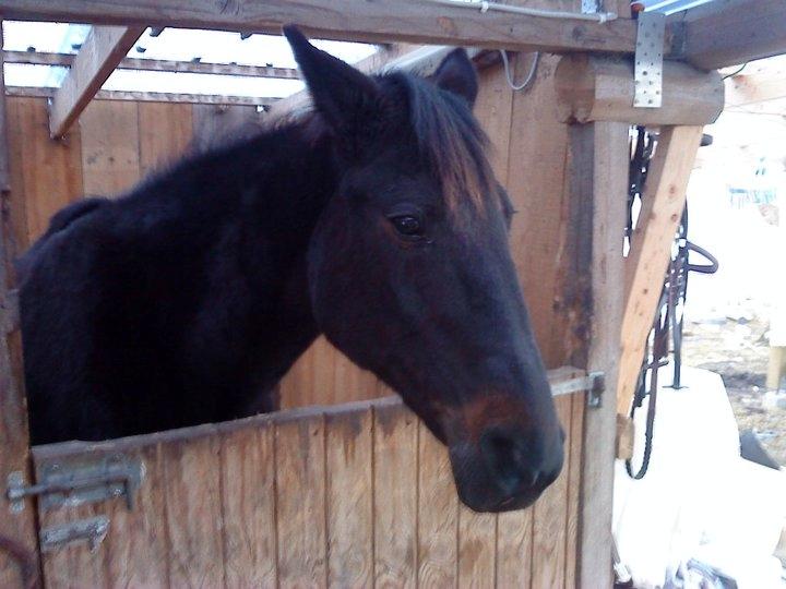 Traver ~Nathaly Prophet~ Medera (Dronningen) billede 43