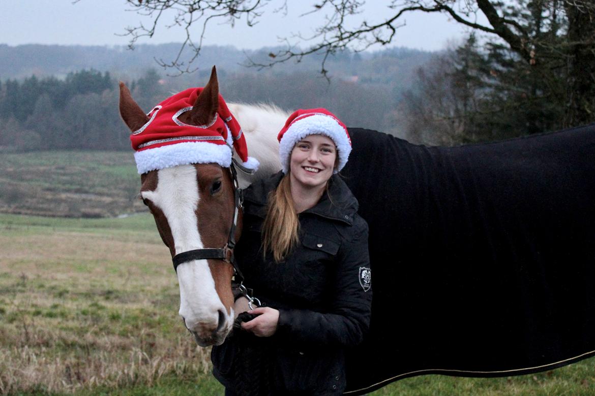 Anden særlig race Freja - Freja og jeg er gået i tidlig julemode :D  billede 15