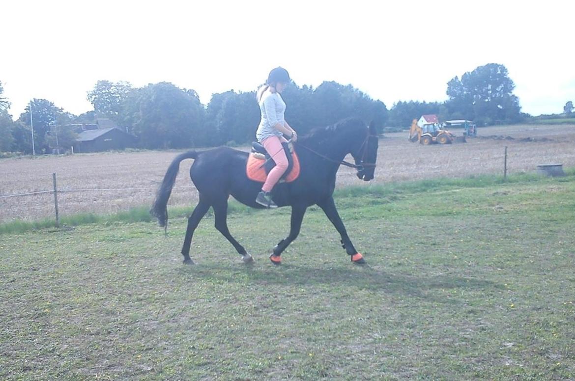 Traver ~Nathaly Prophet~ Medera (Dronningen) billede 28