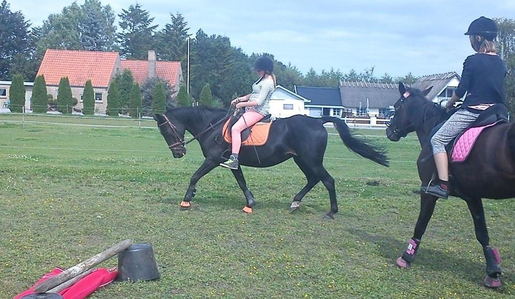 Traver ~Nathaly Prophet~ Medera (Dronningen) billede 19