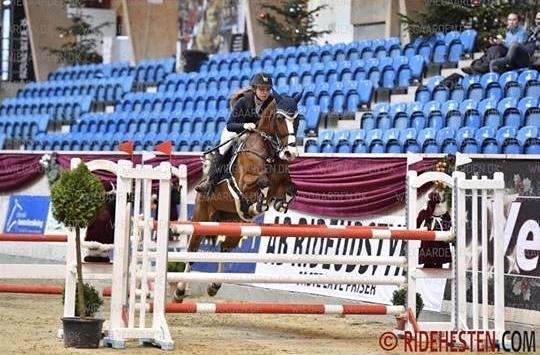 Dansk Varmblod Cornelia højbo *Himmel hest* billede 8