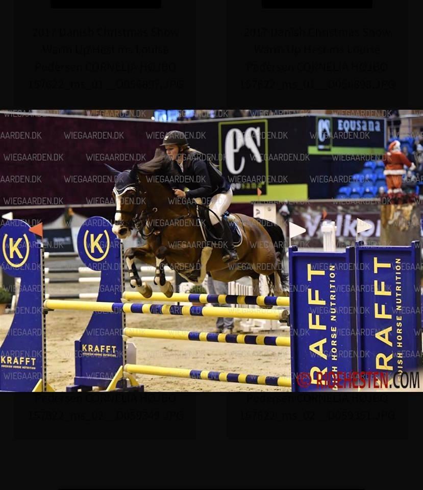 Dansk Varmblod Cornelia højbo *Himmel hest* billede 6