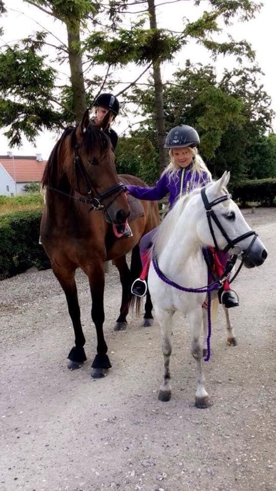 Traver Rain Man H billede 19